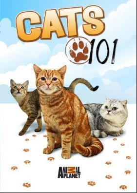 101 kiscica 3. évad (2009) online sorozat