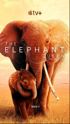 Az Elefánt királynő (2019) online film