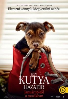 Egy kutya hazatér (2019) online film