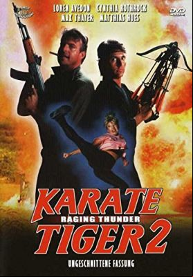 Karate tigris 2. - Villám kezek (1987) online film