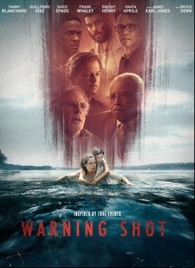 Warning Shot (2018) online film